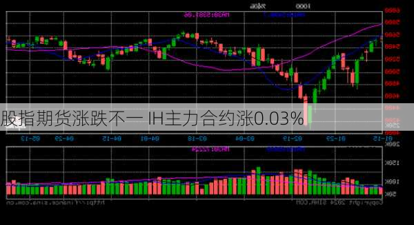 股指期货涨跌不一 IH主力合约涨0.03%