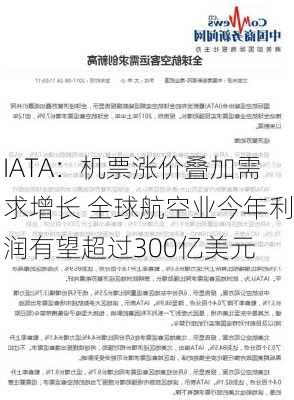 IATA：机票涨价叠加需求增长 全球航空业今年利润有望超过300亿美元