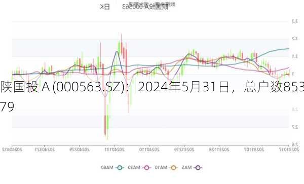 陕国投Ａ(000563.SZ)：2024年5月31日，总户数85379