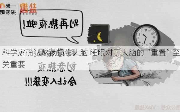 科学家确认熬夜损伤大脑 睡眠对于大脑的“重置”至关重要