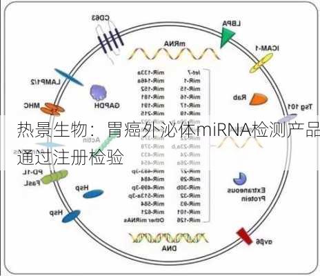 热景生物：胃癌外泌体miRNA检测产品通过注册检验