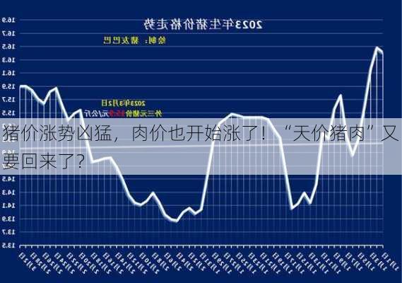 猪价涨势凶猛，肉价也开始涨了！“天价猪肉”又要回来了？