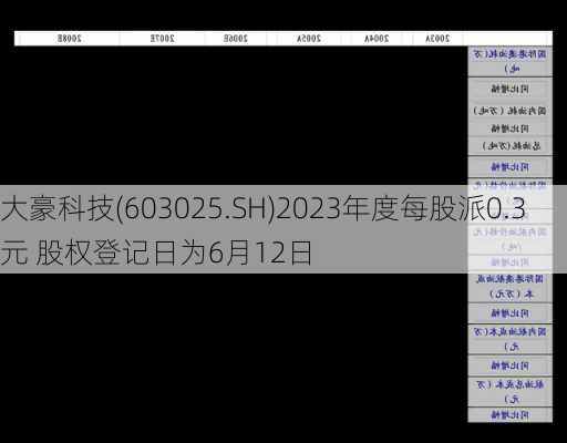 大豪科技(603025.SH)2023年度每股派0.3元 股权登记日为6月12日