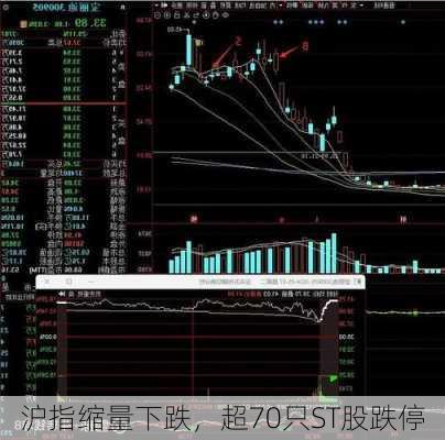 沪指缩量下跌，超70只ST股跌停