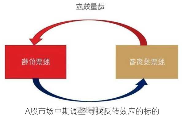 A股市场中期调整 寻找反转效应的标的