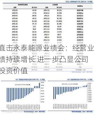 直击永泰能源业绩会：经营业绩持续增长 进一步凸显公司投资价值