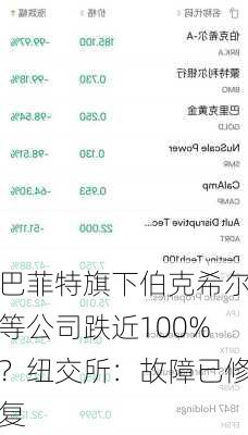 巴菲特旗下伯克希尔等公司跌近100%？纽交所：故障已修复