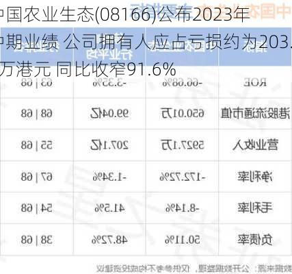 中国农业生态(08166)公布2023年中期业绩 公司拥有人应占亏损约为203.3万港元 同比收窄91.6%