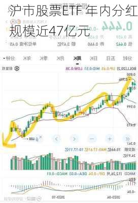 沪市股票ETF 年内分红规模近47亿元