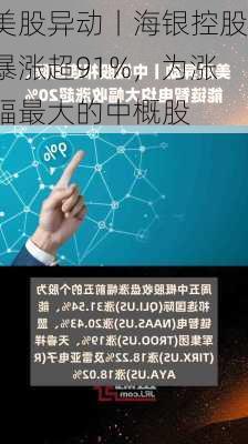 美股异动丨海银控股暴涨超91%，为涨幅最大的中概股