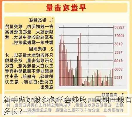 新手做炒股多久学会炒股，周期一般有多长？