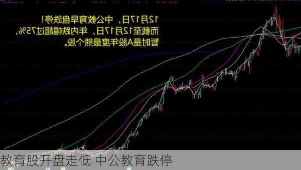 教育股开盘走低 中公教育跌停