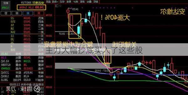 主力大幅抄底买入了这些股