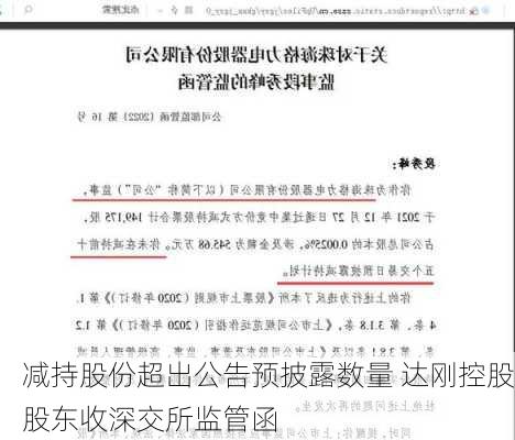 减持股份超出公告预披露数量 达刚控股股东收深交所监管函