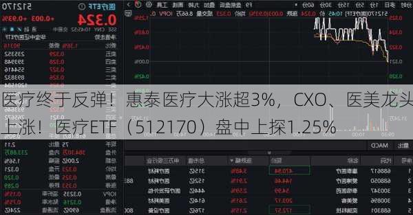 医疗终于反弹！惠泰医疗大涨超3%，CXO、医美龙头联袂上涨！医疗ETF（512170）盘中上探1.25%