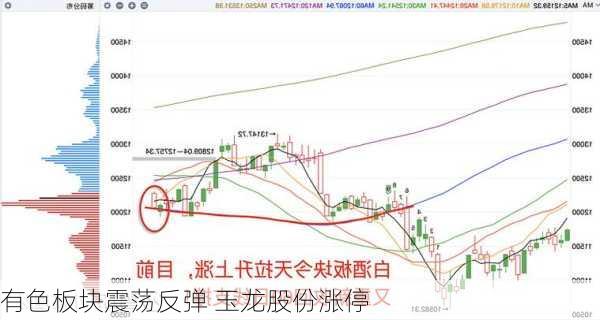 有色板块震荡反弹 玉龙股份涨停