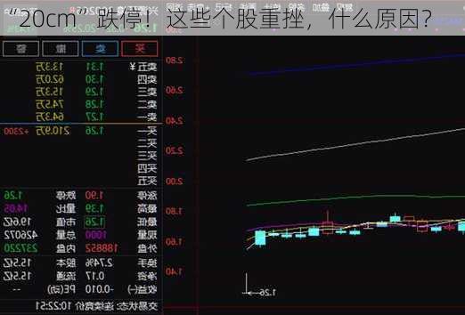 “20cm”跌停！这些个股重挫，什么原因？