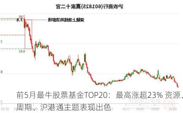 前5月最牛股票基金TOP20：最高涨超23% 资源、周期、沪港通主题表现出色