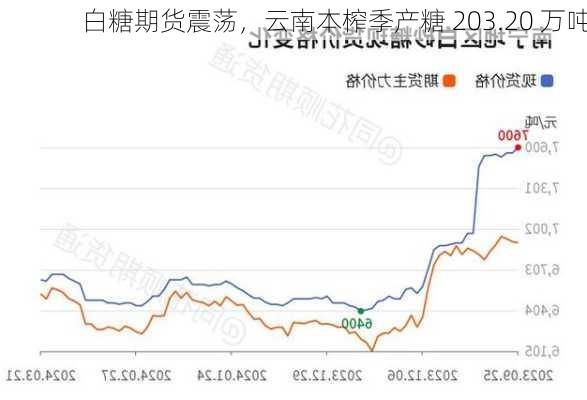 白糖期货震荡，云南本榨季产糖 203.20 万吨