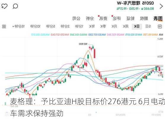 麦格理：予比亚迪H股目标价276港元 6月电动车需求保持强劲