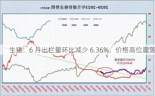 生猪：6 月出栏量环比减少 6.36%，价格高位震荡