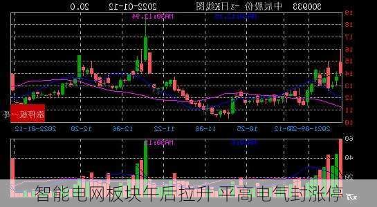 智能电网板块午后拉升 平高电气封涨停