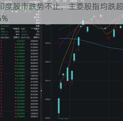 印度股市跌势不止，主要股指均跌超5%