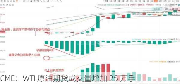 CME：WTI 原油期货成交量增加 25 万手