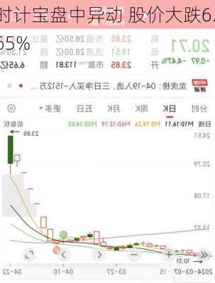 时计宝盘中异动 股价大跌6.65%