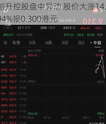 创升控股盘中异动 股价大涨14.94%报0.300港元