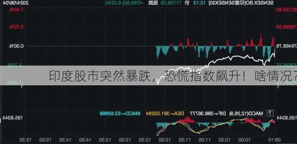 印度股市突然暴跌，恐慌指数飙升！啥情况？