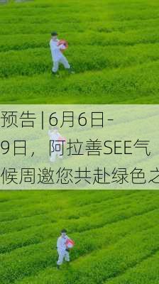 预告 | 6月6日-9日，阿拉善SEE气候周邀您共赴绿色之约