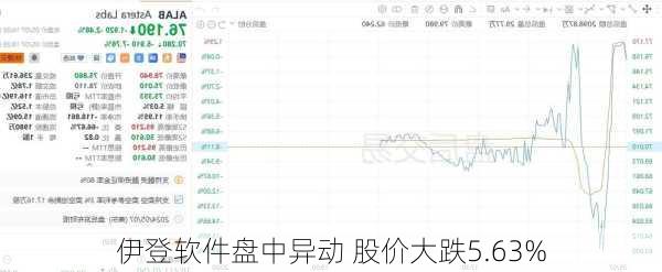 伊登软件盘中异动 股价大跌5.63%