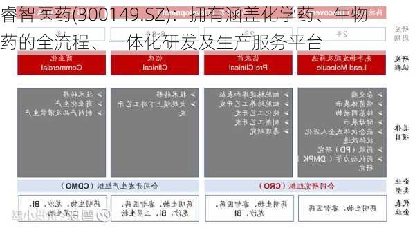 睿智医药(300149.SZ)：拥有涵盖化学药、生物药的全流程、一体化研发及生产服务平台