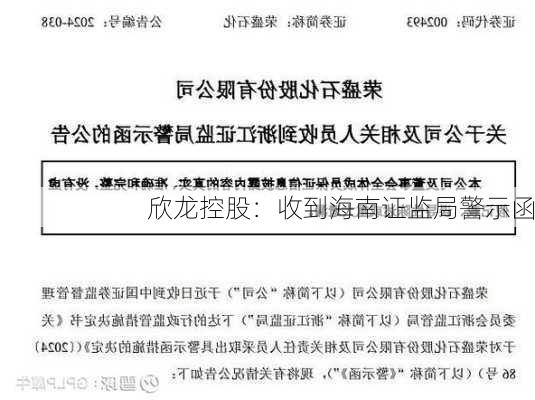 欣龙控股：收到海南证监局警示函