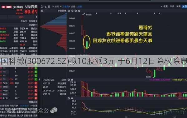 国科微(300672.SZ)拟10股派3元 于6月12日除权除息