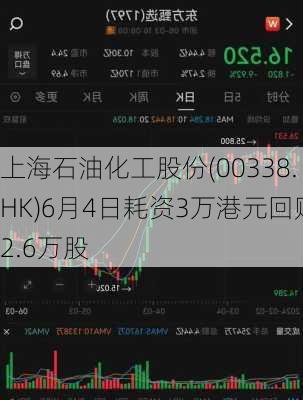 上海石油化工股份(00338.HK)6月4日耗资3万港元回购2.6万股