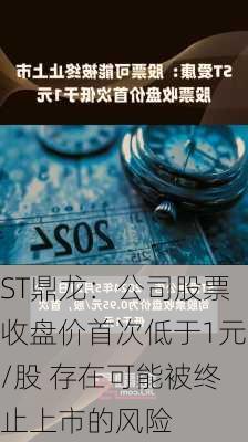 ST鼎龙：公司股票收盘价首次低于1元/股 存在可能被终止上市的风险