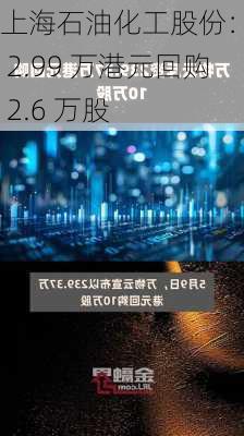 上海石油化工股份：斥资 2.99 万港元回购 2.6 万股