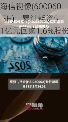 海信视像(600060.SH)：累计耗资5.1亿元回购1.6%股份