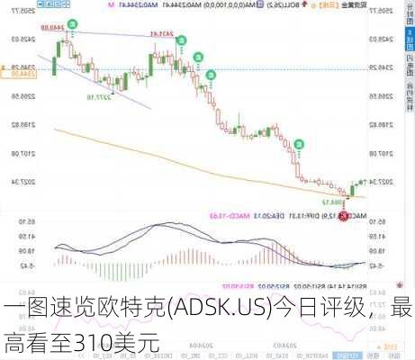 一图速览欧特克(ADSK.US)今日评级，最高看至310美元