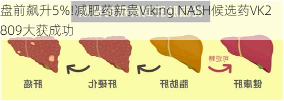 盘前飙升5%!减肥药新贵Viking NASH候选药VK2809大获成功