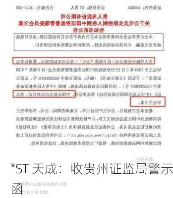 *ST 天成：收贵州证监局警示函