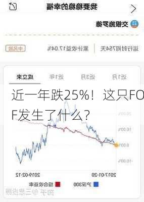 近一年跌25%！这只FOF发生了什么？