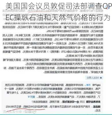 美国国会议员敦促司法部调查OPEC操纵石油和天然气价格的行为