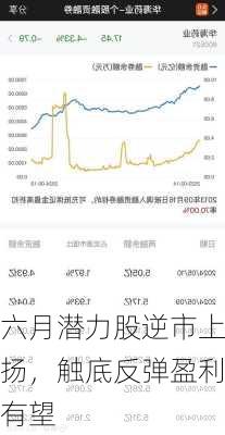 六月潜力股逆市上扬，触底反弹盈利有望