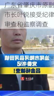 广东省肇庆市原副市长叶锐接受纪律审查和监察调查