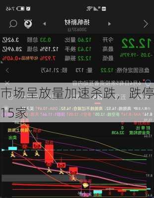 市场呈放量加速杀跌，跌停115家