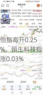 恒指高开0.25%，恒生科技指数涨0.03%