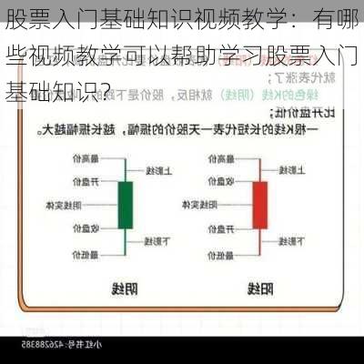 股票入门基础知识视频教学：有哪些视频教学可以帮助学习股票入门基础知识？